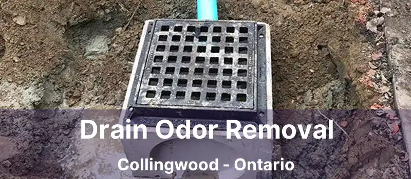  Drain Odor Removal Collingwood - Ontario