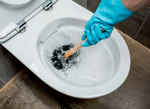 Drain Power Flush Services in Collingwood, ON