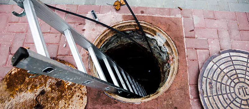 Emergency Sewer Replacement Services in Collingwood, ON